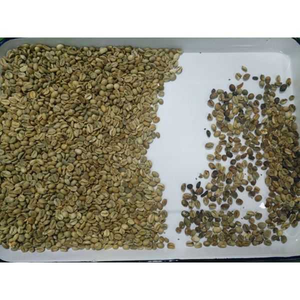 High Capacity 5400 Pixels CCD Camera Coffee Beans Color Sorter Sorting Separator Machine