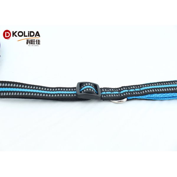 Eco - Friendly Fancy 6 Foot Nylon Dog Leash For Doggie Walking