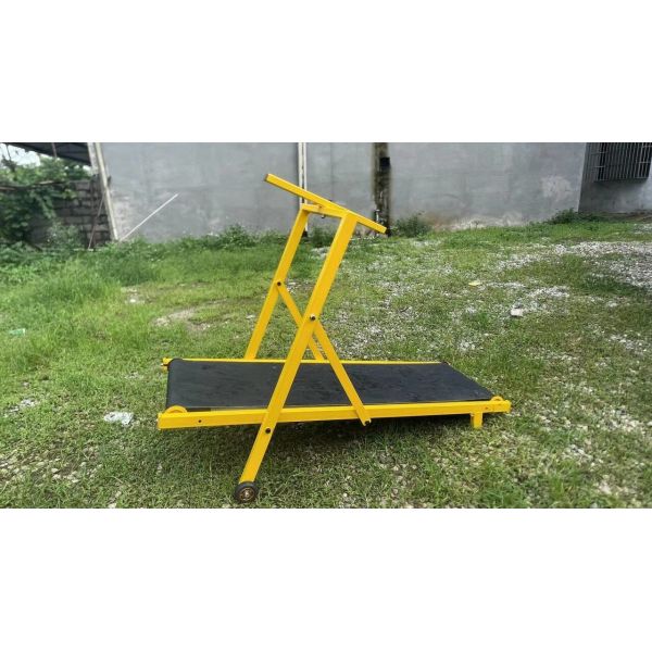 Shipping Port Shanghai or Nanjing Colorful Iron Dog Treadmill for Large Medium Dog