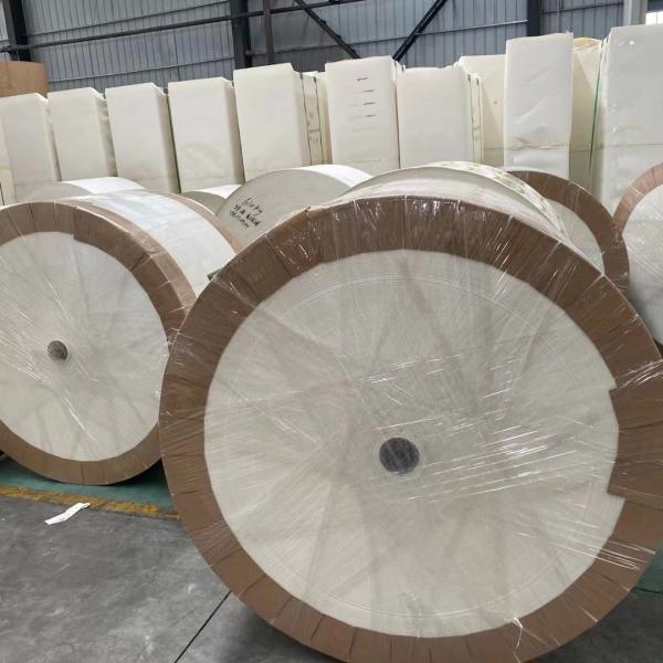 Matéria prima de papel revestida impermeável 350g do copo de chá de QS W 1200mm
