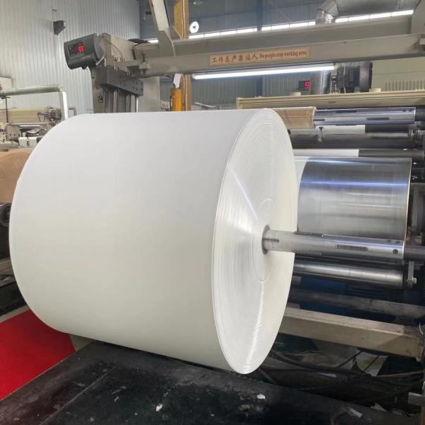 papel de papel descartável de Cupstock da rigidez 6 do rolo de 190gsm 210gsm