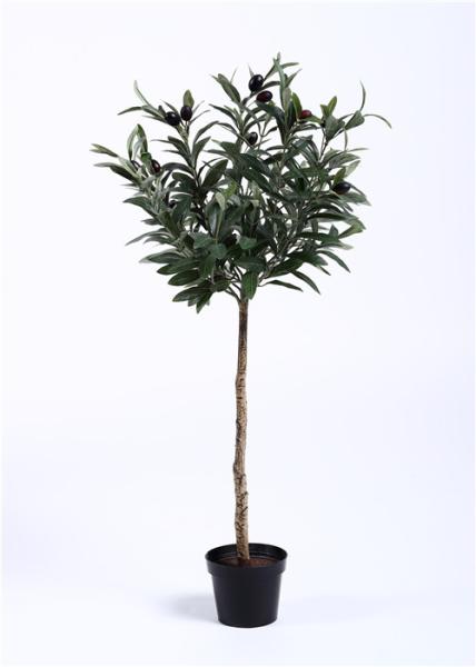 Rejuvenating Olive Tree Bonsai Regal Stature Command Attention Environmental Artificial