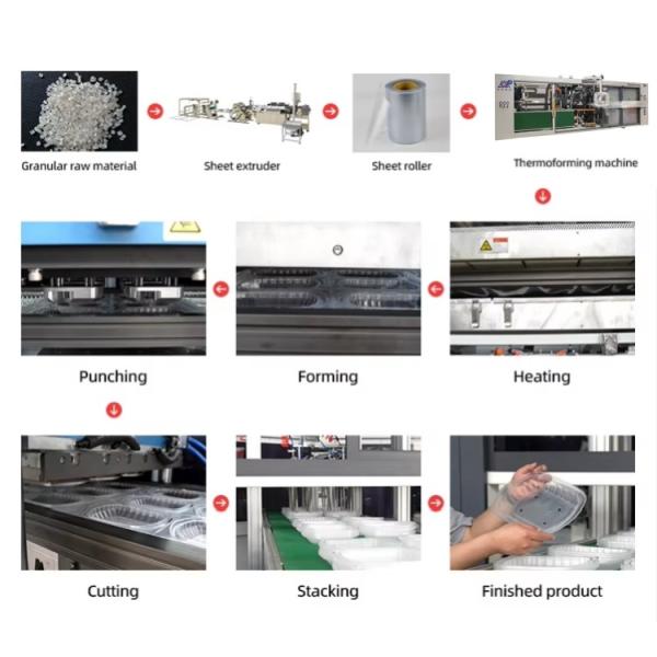 Machine de fabrication de plateaux en plastique jetables, approvisionnement direct d'usine
