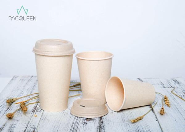 Custom Colored Compostable Paper Cups Future Friendly PLA Natural Bagasse Paper