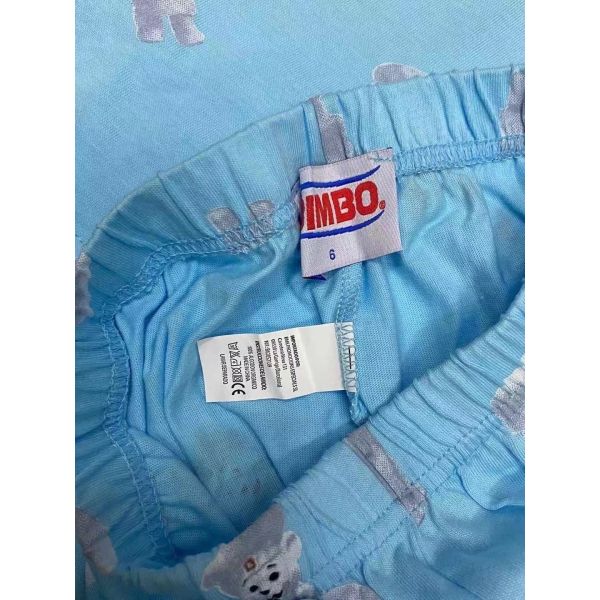 Kids 2 Pcs Blue Print V Collar Top And Pants For Autumn