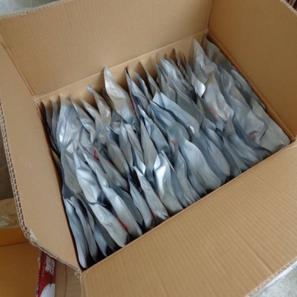 Shell Broken Pine Pollen Powder Fresh Nature Pale Yellow