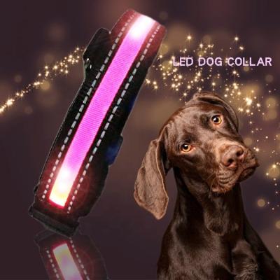 Custom USB LED Dog Collar Nylon Print Adjustable Reflective Rechargeable Waterproof