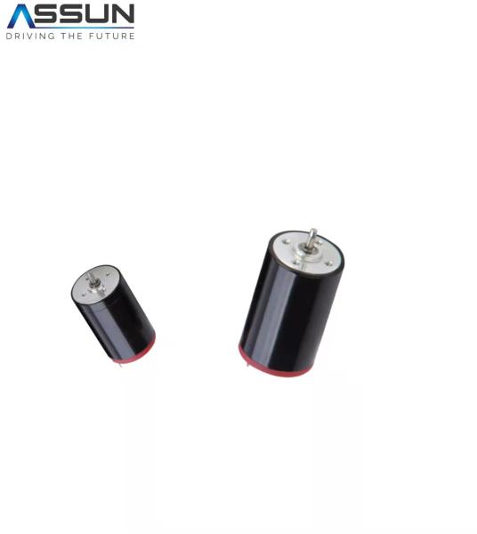 Coreless High Speed Brushed Motor 3V 1765mA Starting Current