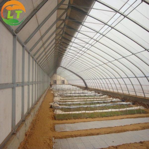 Hydroponic System Included High Strength Solar Greenhouse for Vegetable Fruits Flowers