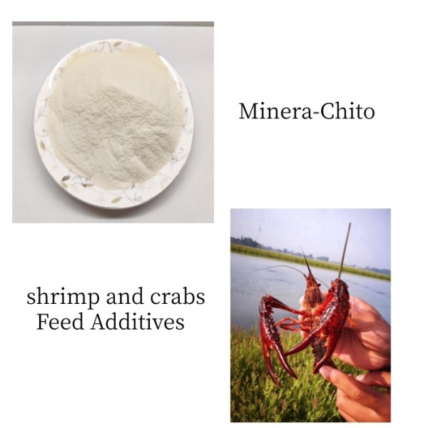 High Bioavailability Calcium Amino Acid Chelate | Feed Grade | Boosts Animal Growth & Bone Health