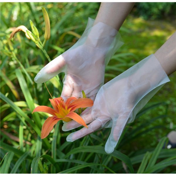 Водоустойчивые садовничая устранимые перчатки TPE для чистки