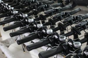 Huzhou Thunder Electric Bike Co., Ltd.