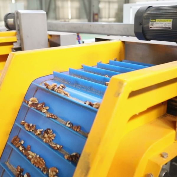 Flexible Walnut Kernel Grading Equipment Supports Multiple Nut Types With Adjustable Versatile Processing Settings upto 12 outlets