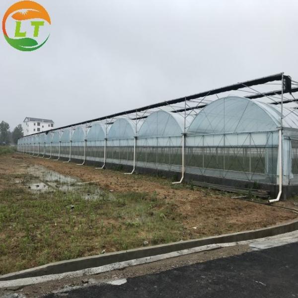 Rede anti-insetos de camada dupla para a agricultura Estufas cobrem filme de plástico eficaz
