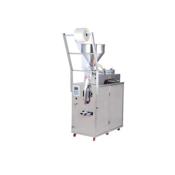 Manual Well Received Liquid Pouch Packaging Machine Foshan