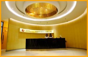 X-Power CORPORATION LIMITED