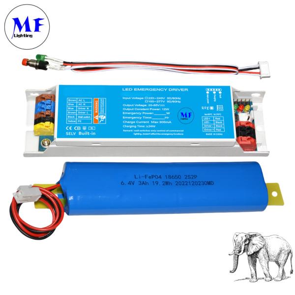 Self-Detect LED Emergency Driver Panic Light Ballast Compatible IP20 Constant Power Multi-Protection 1-3h Customizable Li-ion FEP04 Ni-CD With 3-Year Warranty