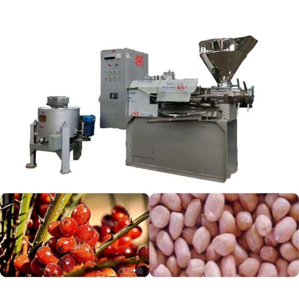 Supply Customized Screw Squeezed Press Sunflower Spiral Oil Extractor for Soybean Oil