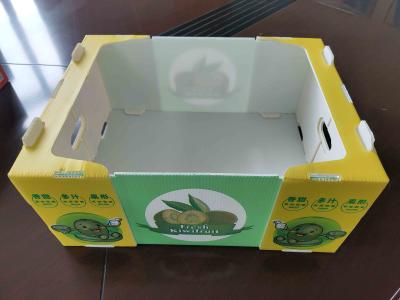 Reusable Plastic Fruit Box with Customized Capacity and Ventilation with colored printing