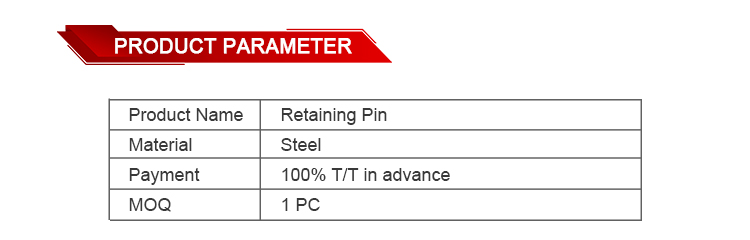 High Performance Retaining Pin 1463120359  for Injection VE PUMP