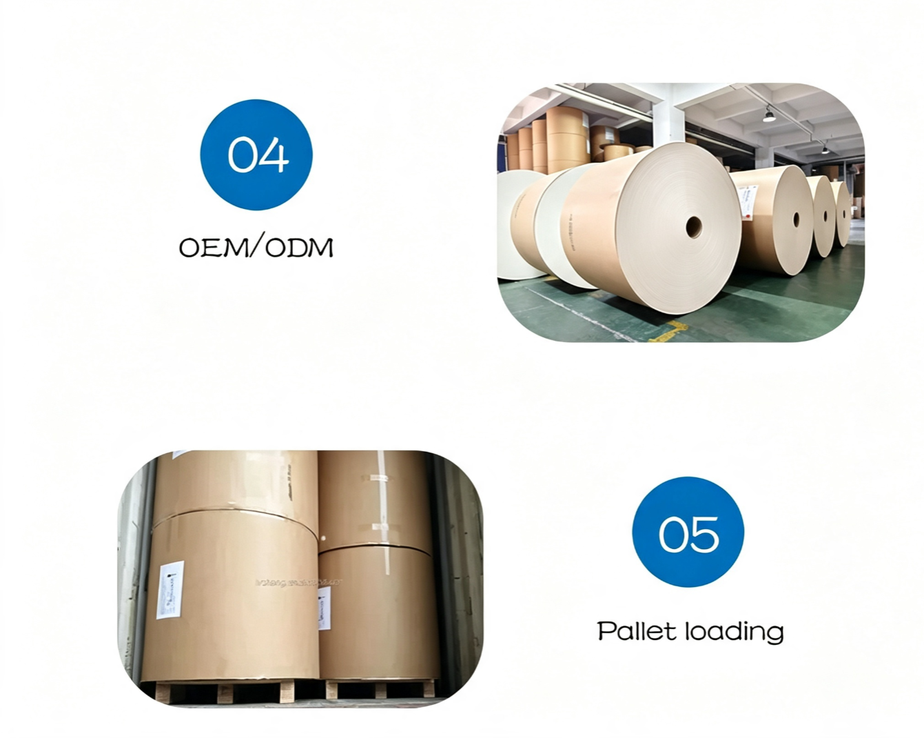 PE Coated Paper Roll for Paper Cup Bottom Base Paper