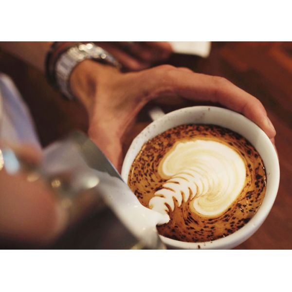 Thermal Insulation Metal French Press 1000ml Double Wall 0.8mm 8 Cup Coffee Plunger