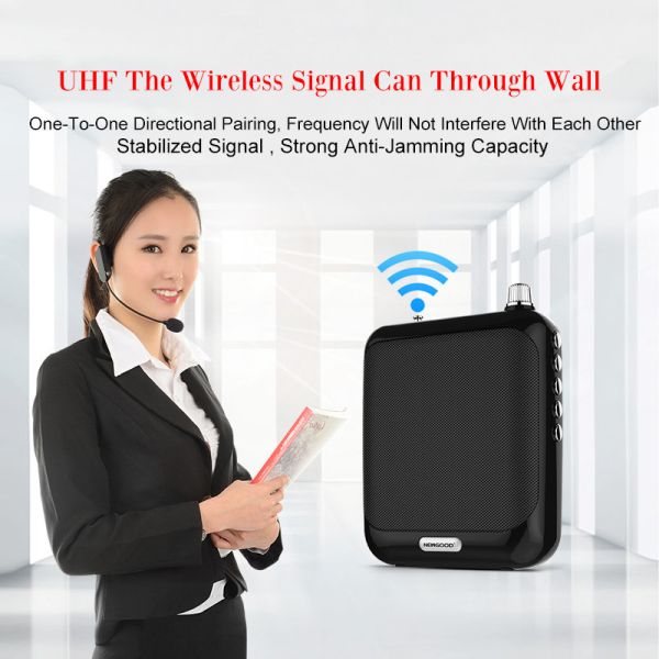 Shenzhen NEWGOOD TF USB U DISK SD CARD UHF/2.4G WIRELESS PA AMPLIFIER BOOSTER SPEAKER System