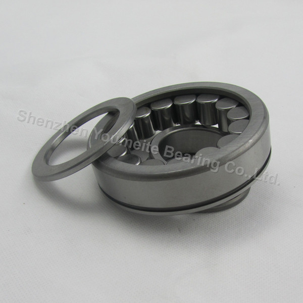 Stainless steel double row roller bearing for ATV parts , NU NJ NUP N NF 215 216 217 218