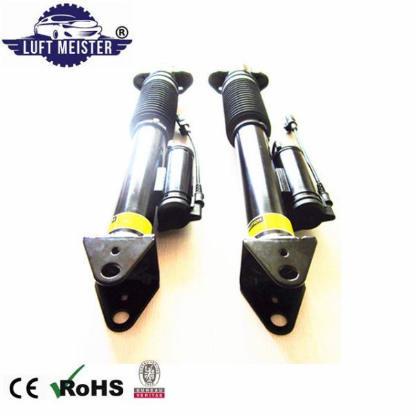Mercedes W166 ML350 Amazon Hot Sale Rear Air Suspension Shock Absorber 1663200130 1663200930