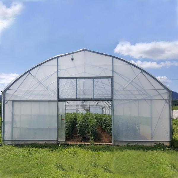 Steel Frame Tunnel Plastic Greenhouse / PE Film Plastic Tomato Greenhouse