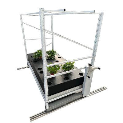 Flowering Cloning Vertical Farming System Multi Tier Indoor Growing Rack