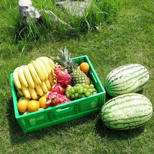 Caixas de plástico empilháveis convenientes para armazenamento de frutas e vegetais agrícolas