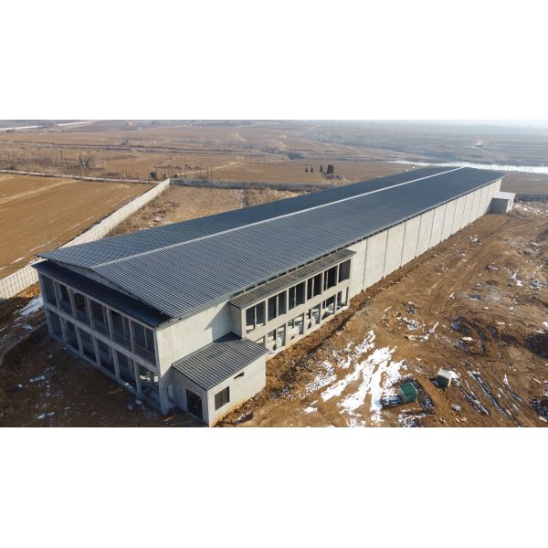 Expandable Steel Structure Cattle Shed for Livestock Farming