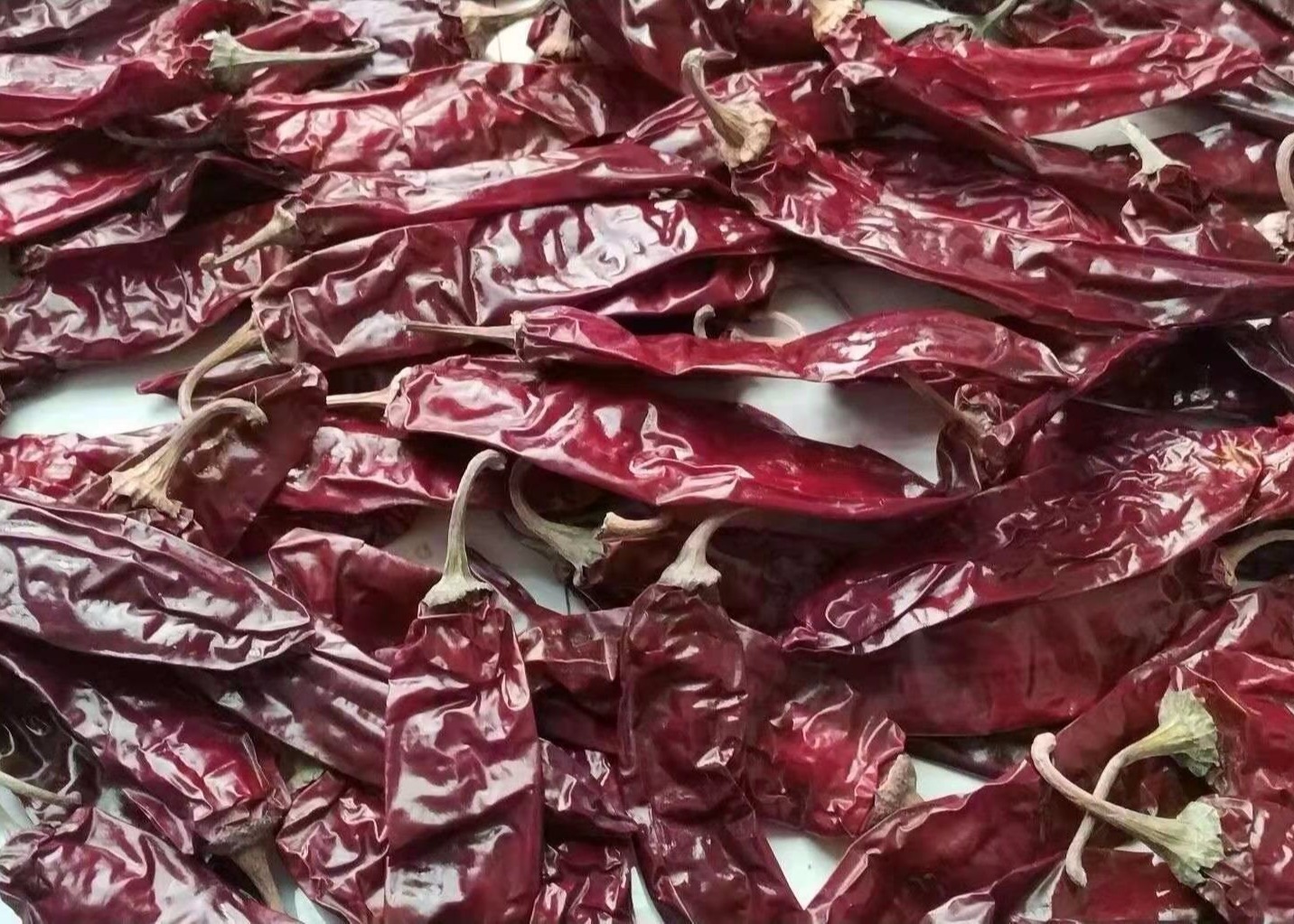 Guajillo Солнце высушило чили красное Guajillo перчит сладкий вкус КОШЕРНЫЙ