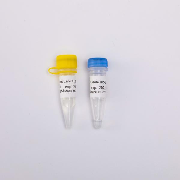 Heat Labile Master Mix For Real Time PCR UDG Highly Effective Anti Contamination Enzyme