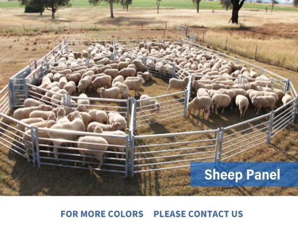 Australian Portable Heavy-duty Round Fencing Panels for Sheep Farms