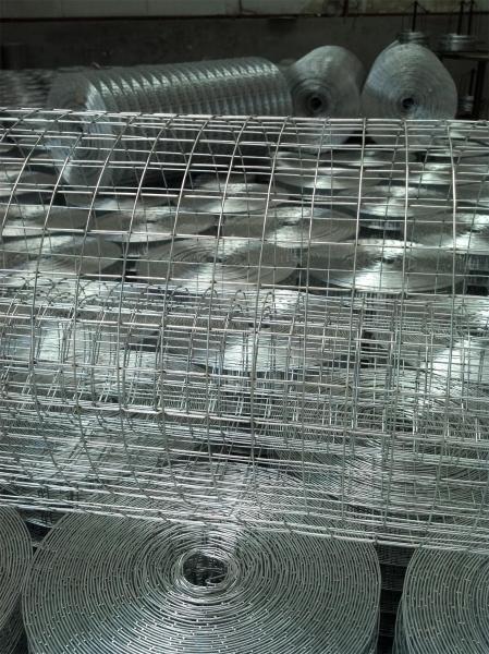 1/2inch/ 3/4inch/ 1inch electro galvanized welded mesh hot dipped galvanized welded mesh PVC coated welded wire mesh
