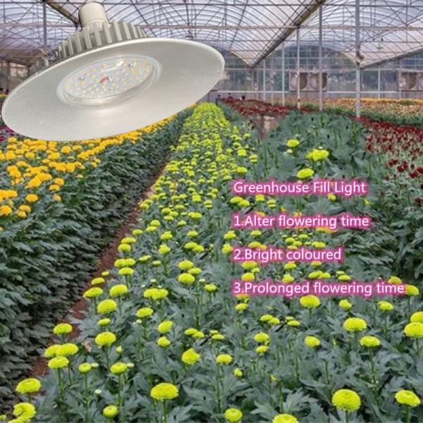 Greenhouse Planting 36W/50W Full Spectrum LED Grow Light with High Luminous Efficiency
