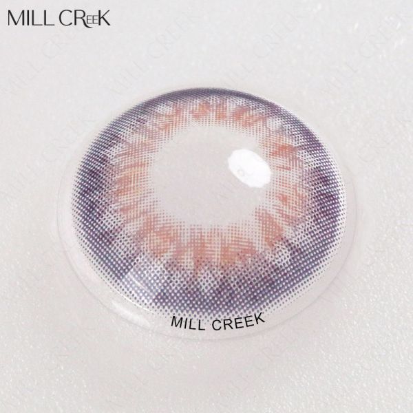 Пурпур Брауна серого цвета зеленого цвета Тейлора контактных линзов круга 14mm рецепта