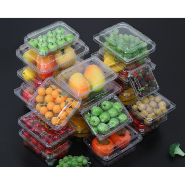 Biodegradable 18cm Food Grade PET Plastic Tray for Salad and Vegetable Packaging