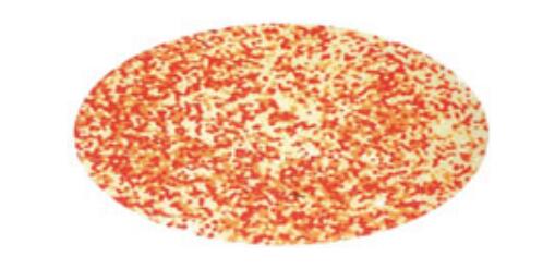 Ball Peuetizer for Pharmaceutical Machinery, Cosmetics Food Processing FD-QZL