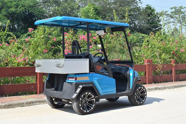 Fuel Type Electric Golf Vehicle  / 2 Seater Golf Buggy 1 Year Warranty