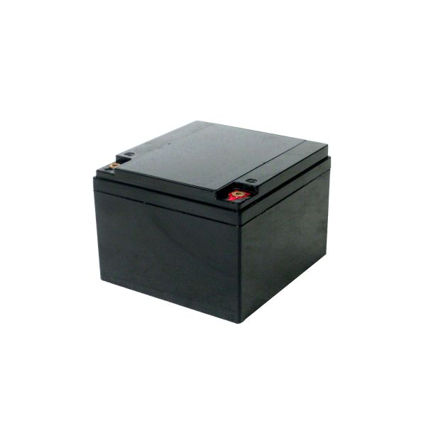 AGM 12V 24Ah VRLA Battery Valve Regulated Lead Acid No Air Leakage Maintenance-Free