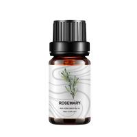 ODM orgânico da cara e do corpo MSDS de Rosemary Essential Oil Hair 10ml da medicina