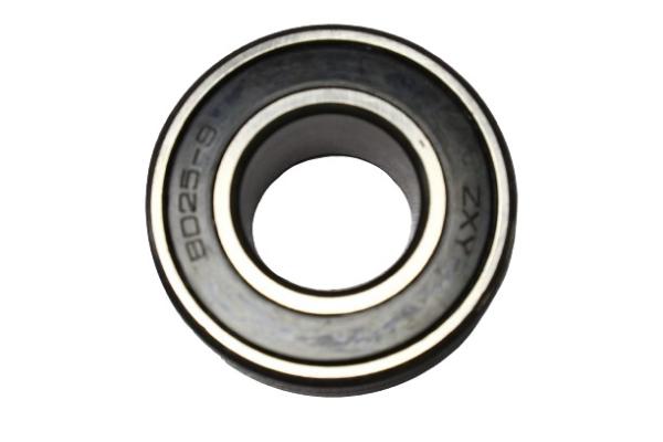 TFR BD25-9  Isuzu Transmission Parts Bearing TRANS REAR AXLE 8941247660 8973659310