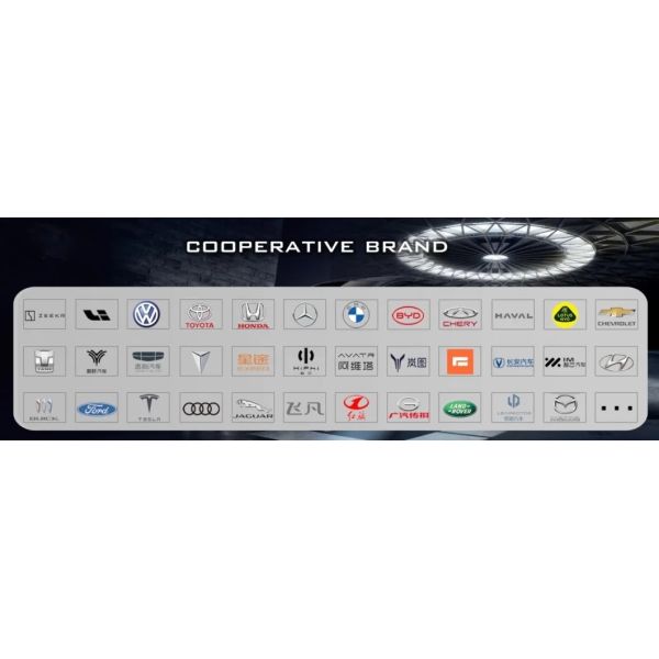 Forerunner Drive Mode Byd Mini EV 2024 Seagull Leap Edition 405km Range Electric Car
