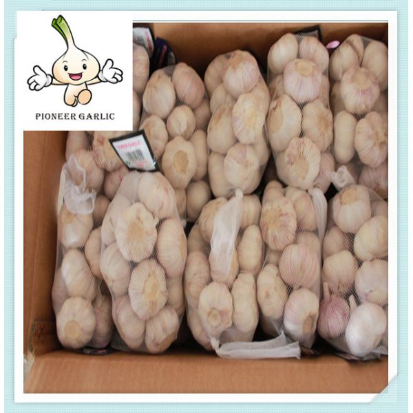 2016 New Crop Normal White Garlic hot sale fresh normal white dry garlic