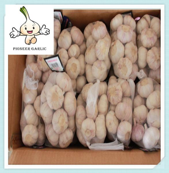 2016 New Crop Normal White Garlic hot sale fresh normal white dry garlic