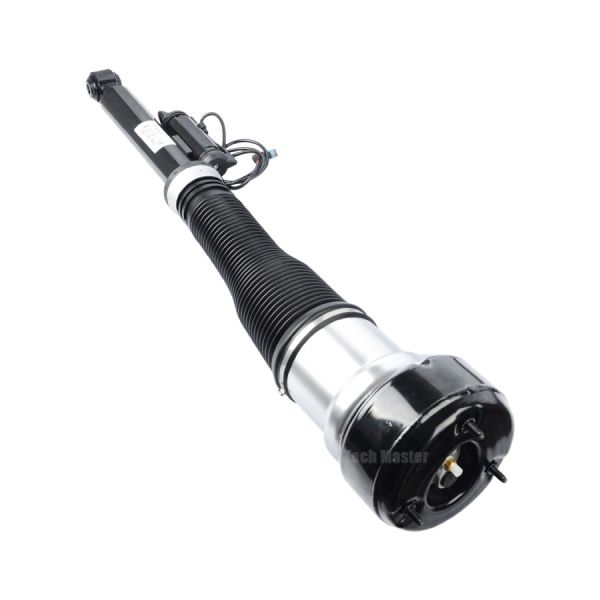 2213205513 Replaced Shock Absorber Mercedes Benz Rear 2007-2012