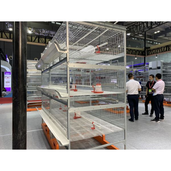 Клетка цыпленка птицы птиц дверей 264 лаборатории 24